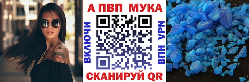 А ПВП СК  Ковдор 