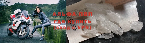 гидра Абаза
