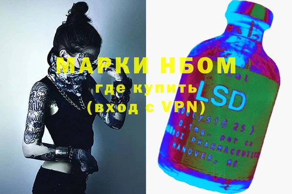 гидра Абаза