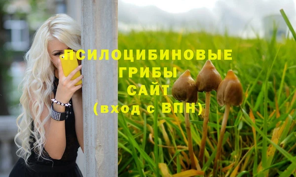 гидра Абаза